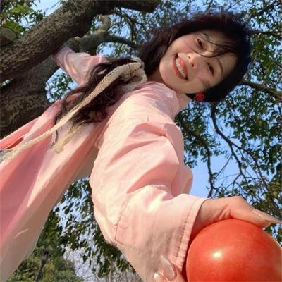 二凤 在线观看