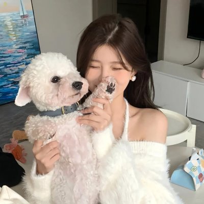 占卜师们 在线观看